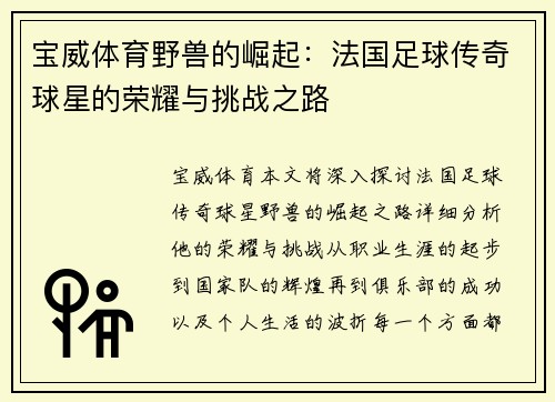 宝威体育野兽的崛起：法国足球传奇球星的荣耀与挑战之路