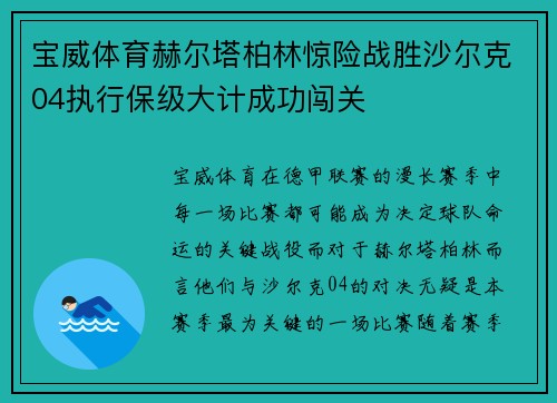 宝威体育赫尔塔柏林惊险战胜沙尔克04执行保级大计成功闯关