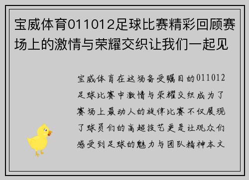 宝威体育011012足球比赛精彩回顾赛场上的激情与荣耀交织让我们一起见证这场盛宴